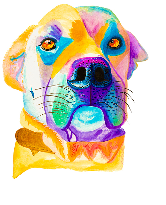 Retrato Digital de Mascota colorida